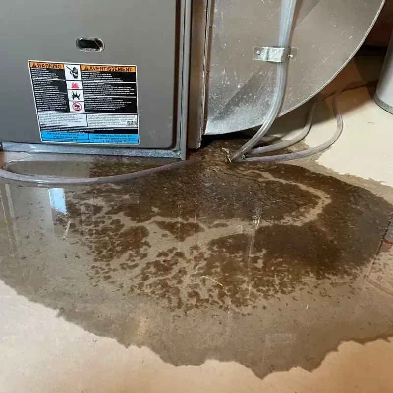 Appliance Leak Cleanup in Rice County, KS